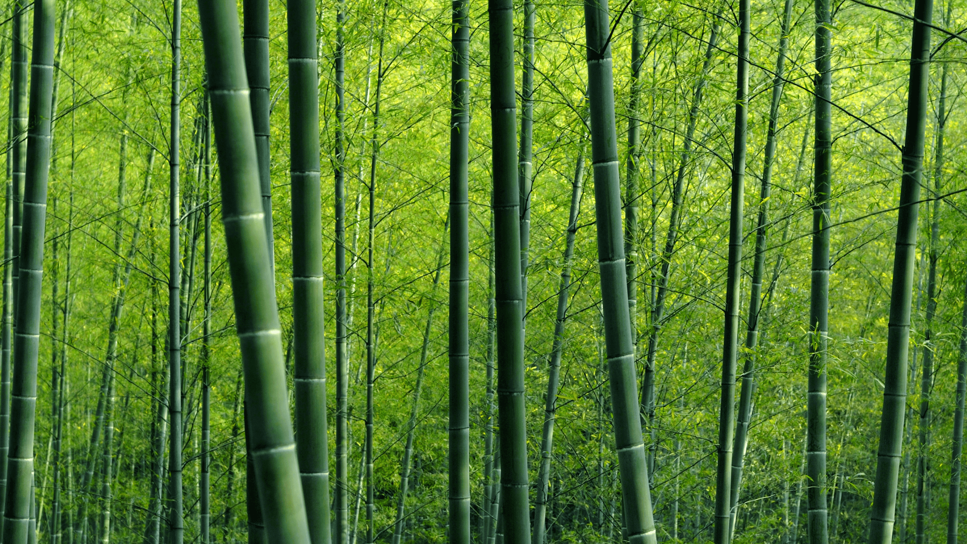 Việt Nam: Linh hoạt trước thách thức